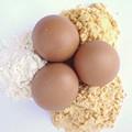 雞蛋粉 雞蛋粉