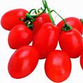 櫻桃番茄 櫻桃番茄