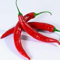 紅辣椒 紅辣椒