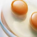 雞蛋白 雞蛋白