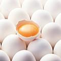 白皮雞蛋 白皮雞蛋