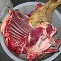 山羊肉 山羊肉