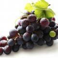 葡萄 葡萄