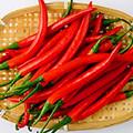 小紅尖辣椒 小紅尖辣椒