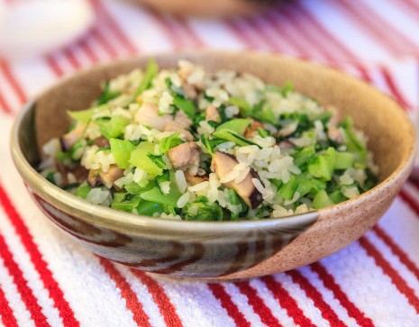 �����Ŵ�������