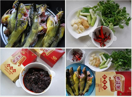 川香辣醬燒黃辣丁的做法圖文步驟