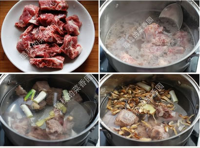 �j���Źǜ��������D�Ĳ��E