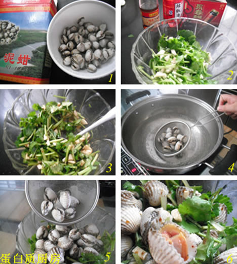 ����Ѫ���������D�Ĳ��E