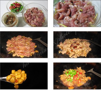 �uƤ������������D�Ĳ��E