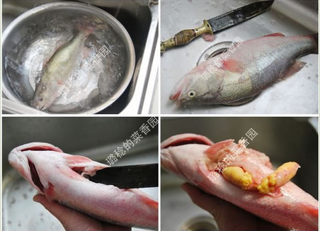 ���?w��)��|�~(y��)�������D�Ĳ��E