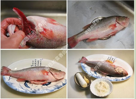 ���?w��)��|�~(y��)�������D�Ĳ��E