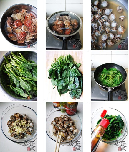扇貝拌菠菜的做法圖文步驟