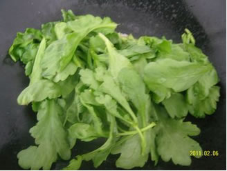 �������^����������D�Ĳ��E