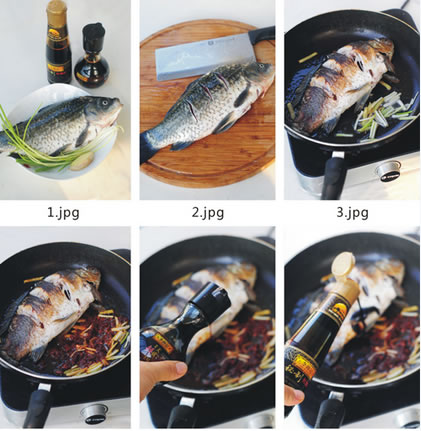 �t���a�~�������D�Ĳ��E