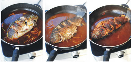 �t���a�~�������D�Ĳ��E