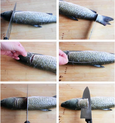 �Ǵ״�Ƥ�~�������D�Ĳ��E