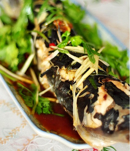 �����Q�~������