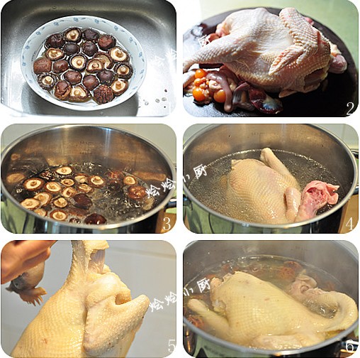 �����u�������D�Ĳ��E