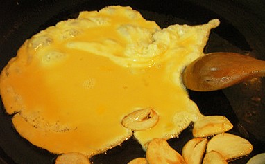 �����������������D�Ĳ��E