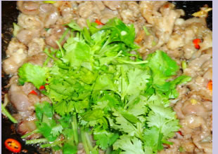 ��ζ�忾����������D�Ĳ��E