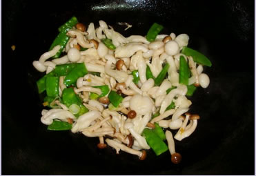 Ģ������Ƭ�������D�Ĳ��E