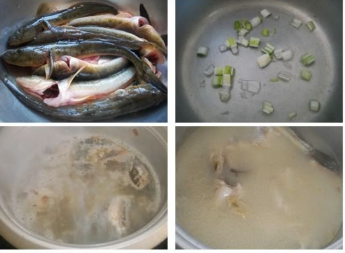 沙光魚湯的做法圖文步驟