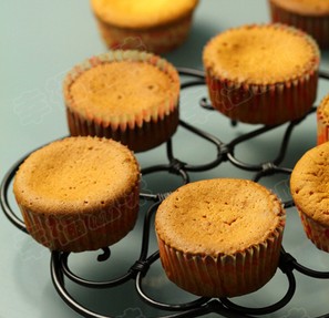 ؈�������������