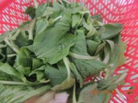 油豆腐炒青菜的做法圖文步驟