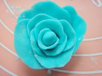 �{(l��n)ɫ�������ǵ���������D�Ĳ��E