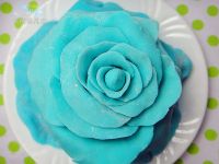 �{(l��n)ɫ�������ǵ���������D�Ĳ��E