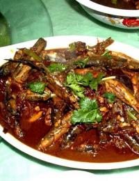 �u�F���q������