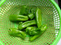 ���������������D�Ĳ��E