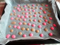 �pɫ���c(di��n)������������D�Ĳ��E