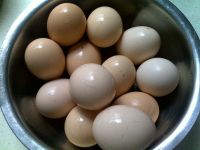 �_���u���������D�Ĳ��E