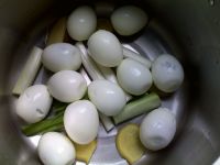 �_���u���������D�Ĳ��E