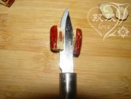 ���װl(f��)��������D�Ĳ��E