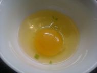 �i��Ƥ��������������D�Ĳ��E