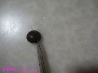 С���ǿ�����������