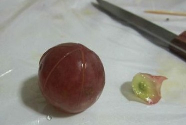 簡易水果拼盤的做法圖文步驟