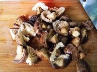 ɽ�u�����������D�Ĳ��E