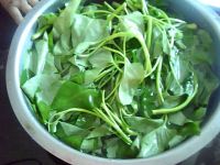 ������Ĳ˵�����