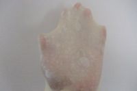 ����С�Ͱ��������D�Ĳ��E