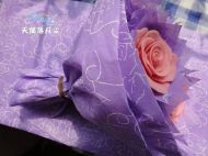 õ���ɿ��������������D�Ĳ��E