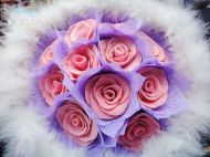 õ���ɿ��������������D�Ĳ��E