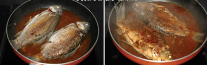 �u���a�~�������D�Ĳ��E