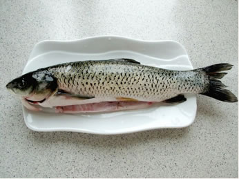 �������~�������D�Ĳ��E