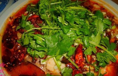 ˮ���~Ƭ������