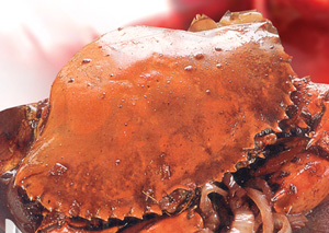 砵酒蟹的做法 砵酒蟹的做法