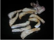 家常魚腩燜豆腐的做法圖文步驟