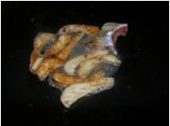 家常魚腩燜豆腐的做法圖文步驟